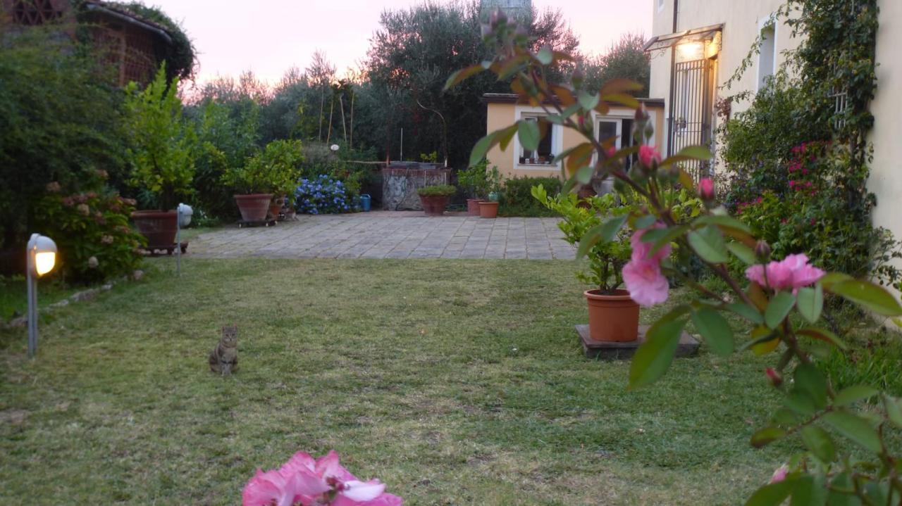 Casa Marce A "Sonno" Bed & Breakfast Porcari Exterior photo