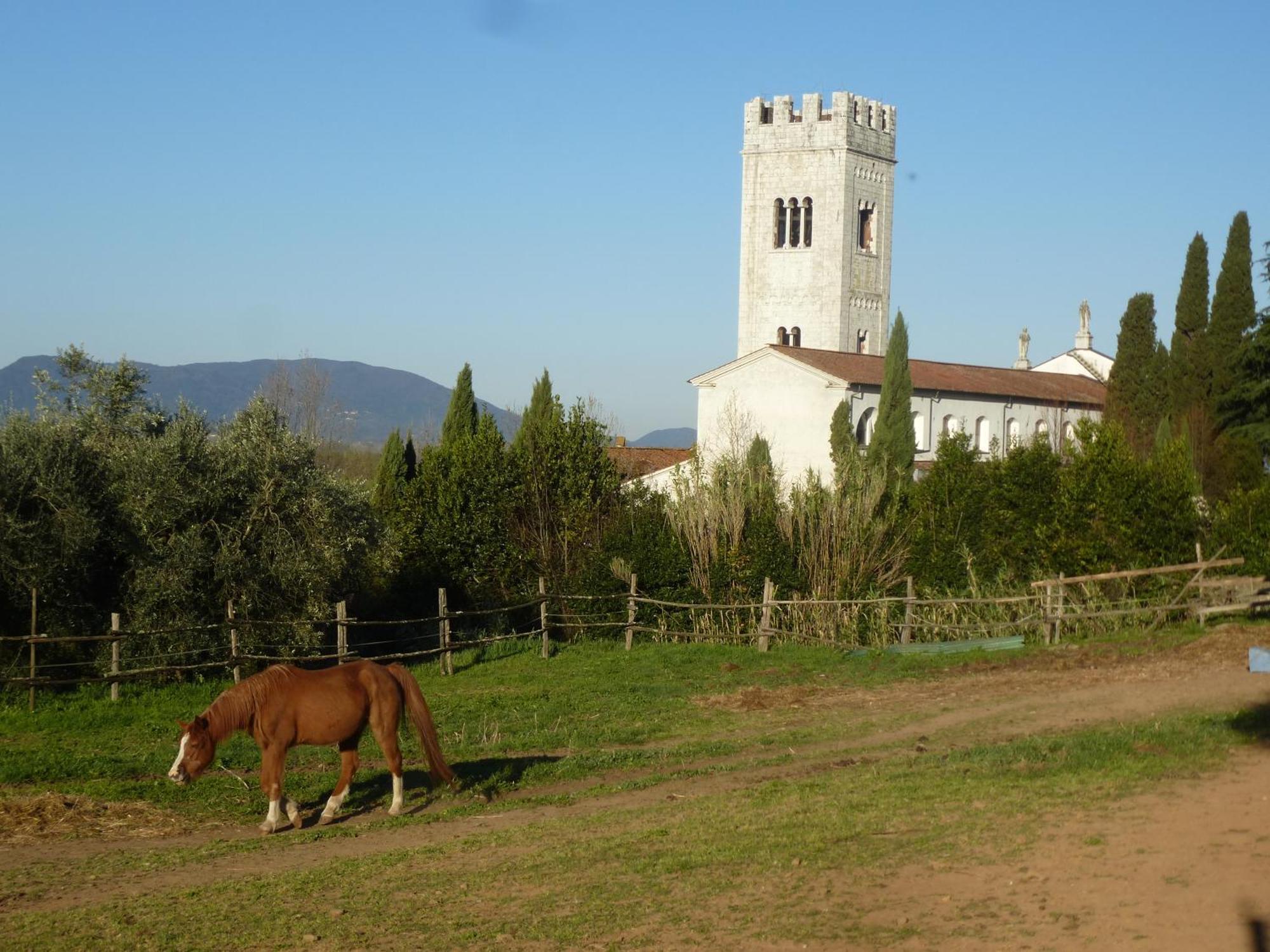 Casa Marce A "Sonno" Bed & Breakfast Porcari Exterior photo